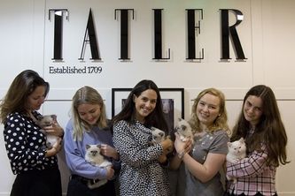 The kittens had a wonderful time at Tatler Magazine. They were fussed andf cosseted by all the lovely girls from the Tatler Team. 

Obviously they now believe they are superstars and are impossible to live with!! LOL
